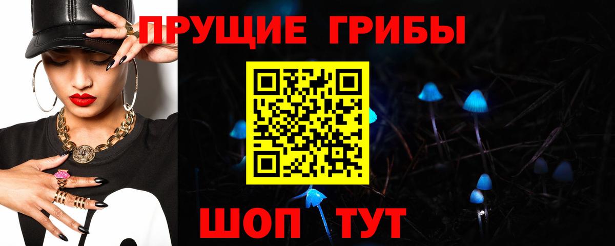Псилоцибиновые грибы GOLDEN TEACHER Дагестанские Огни